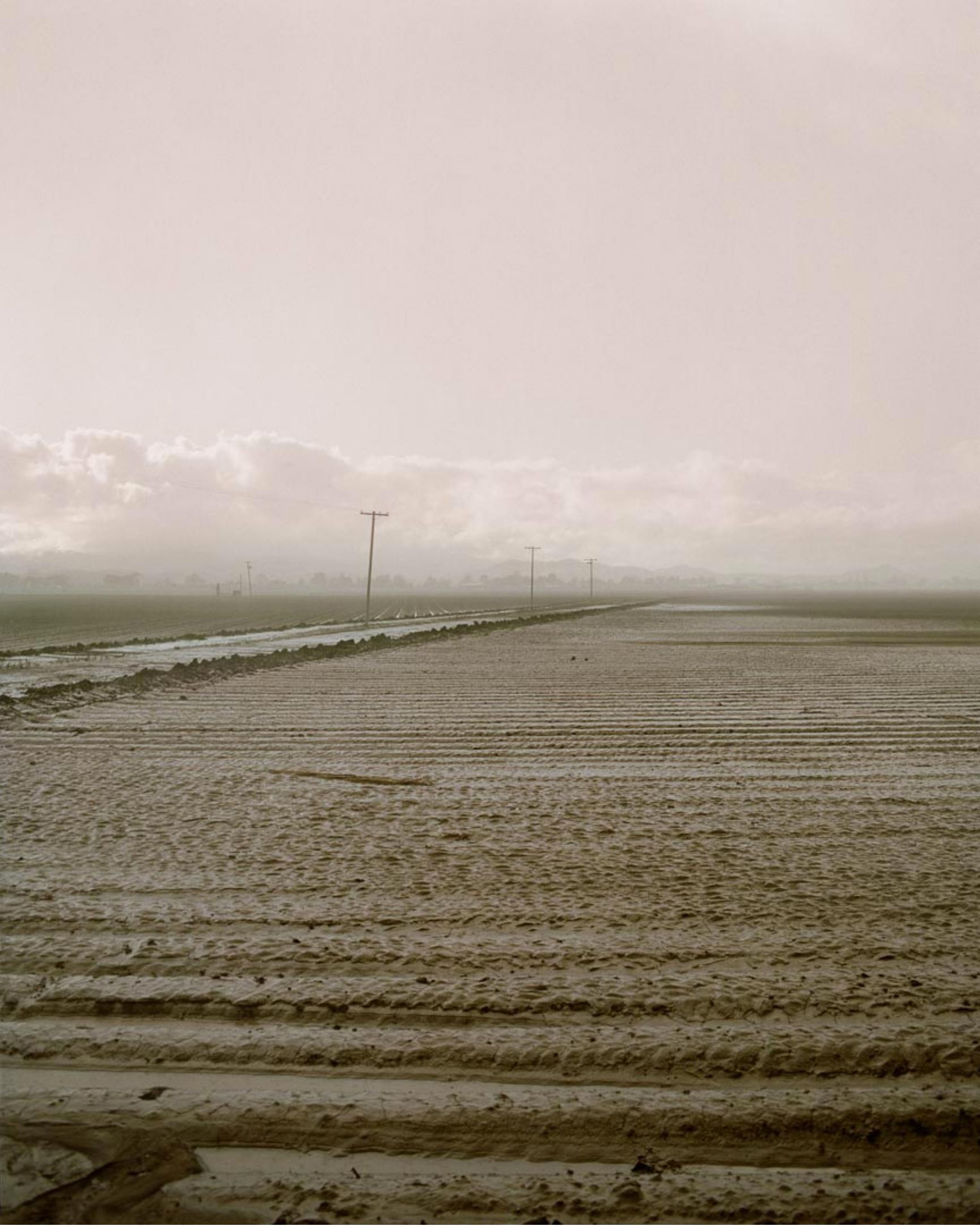 #1609-b, 1996 - Todd Hido (Colour Photography)
Signed, titled and dated on reverse
Archival pigment print

Available in three sizes:
14 x 11 inches, from an edition of 10 + 3 APs
24 x 20 inches, from an edition of 10 + 3 APs
38 x 30 inches, from an