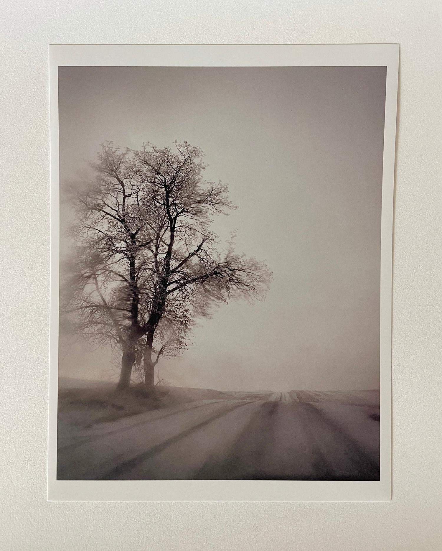 Untitled 9216B - Romantic Photograph by Todd Hido