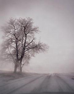 Landscape Photography