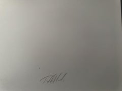 Une route divisée Impression photographique d'archives unique avec arc-en-ciel pastel dessiné à la main