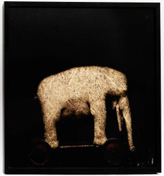 Todd Murphy, Mixed Media "Straw Elephant" limited to 100, Framed in S.Box