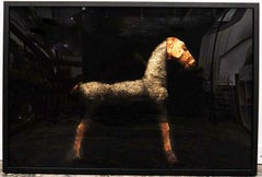Todd Murphy, Mixed Media "Straw Horse" limited to 100, Framed in S.Box