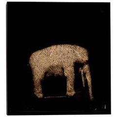 21st Century and Contemporary Contemporary Art