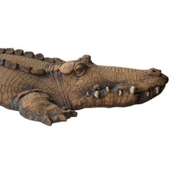 Todd Warner Scultura di alligatore in terracotta