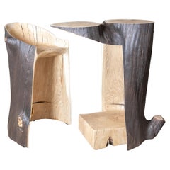 Ensemble sculpture de Christian Friedl