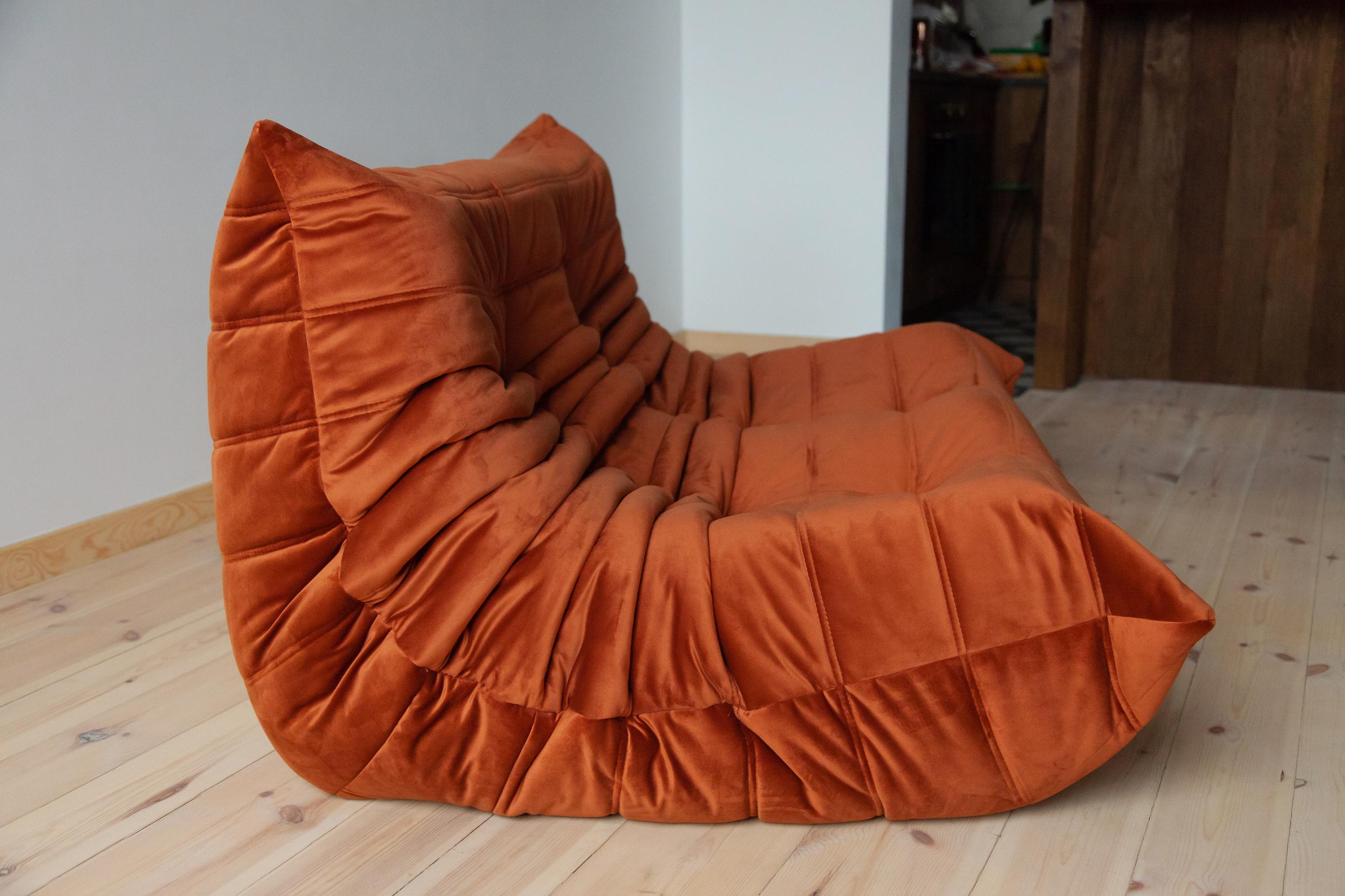 Togo 2-Seat Sofa in Amber Velvet by Michel Ducaroy for Ligne Roset For Sale 2