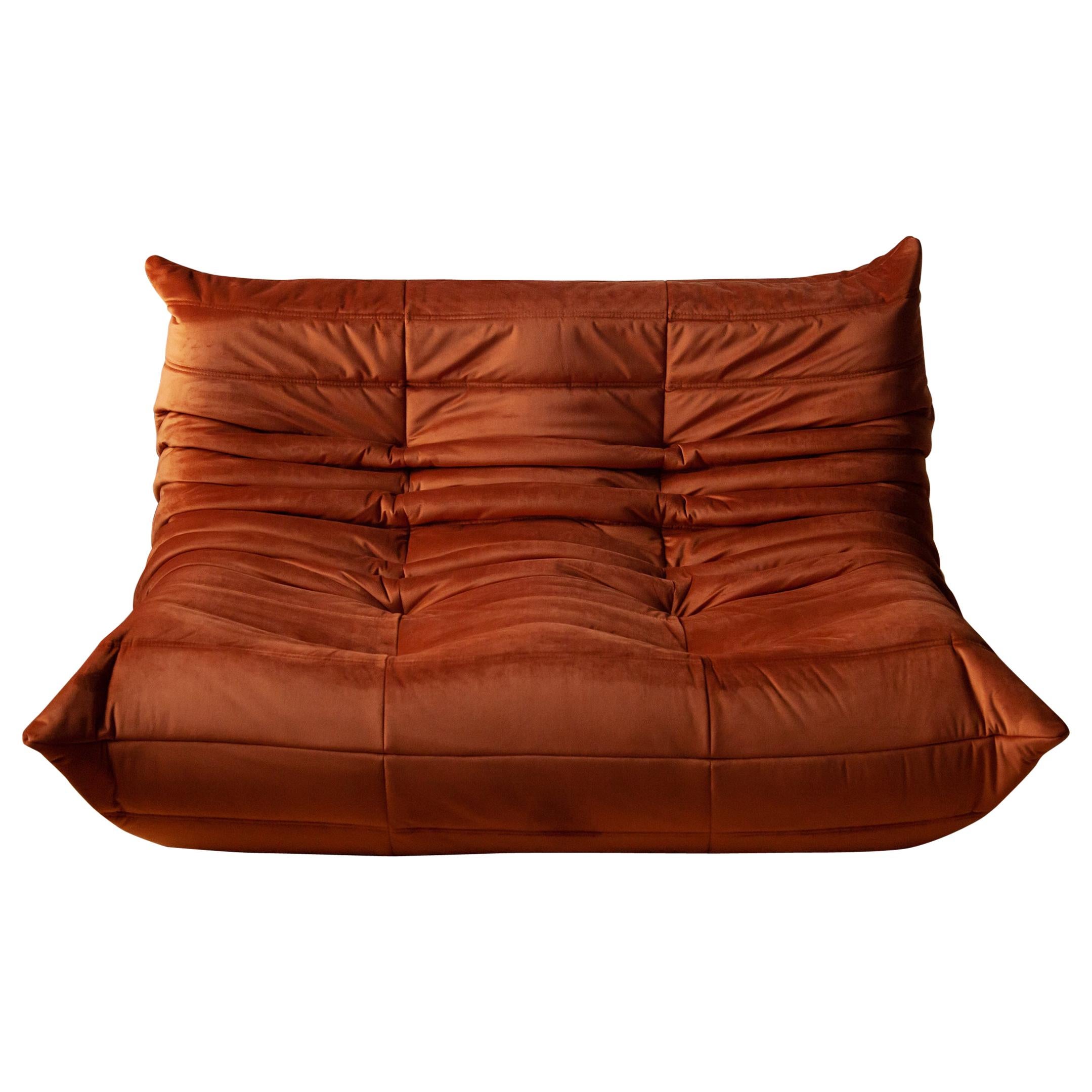 Togo 2-Seat Sofa in Amber Velvet by Michel Ducaroy for Ligne Roset For Sale