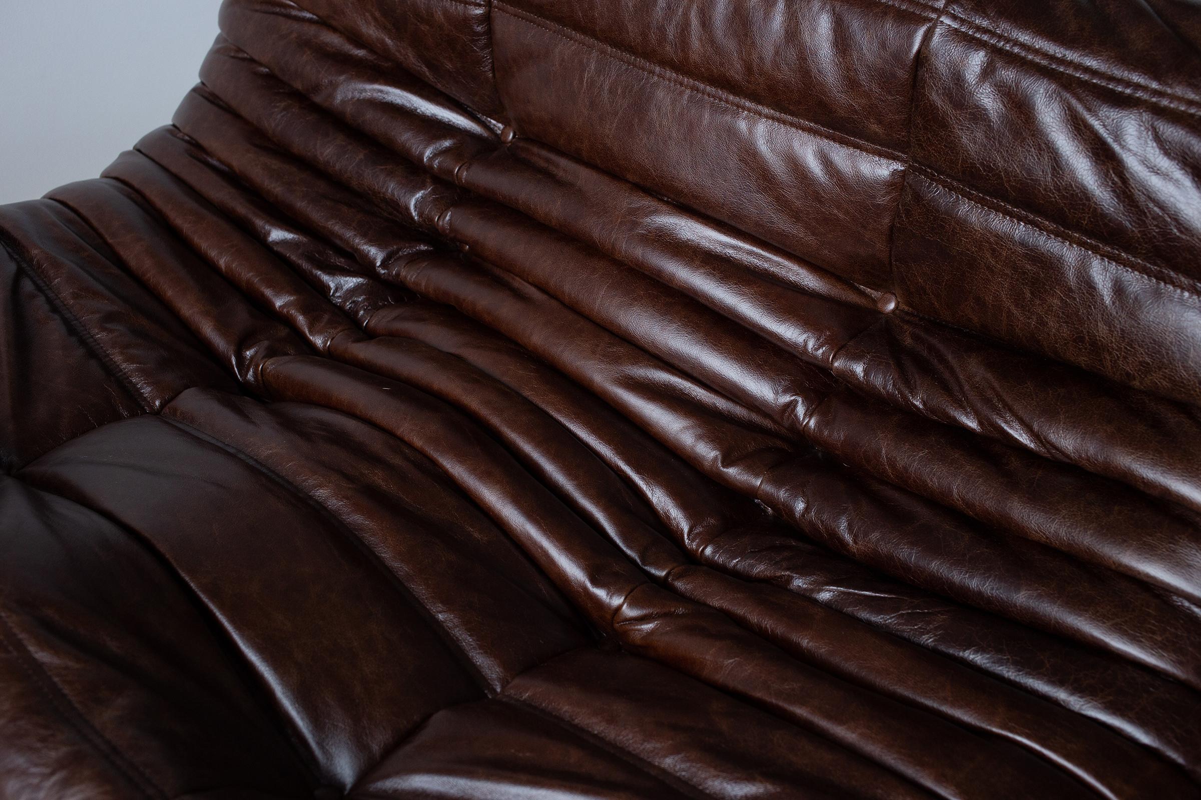 Togo 2-sitziges Sofa in Dubai Brown Leder von Michel Ducaroy für Ligne Roset (Französisch) im Angebot