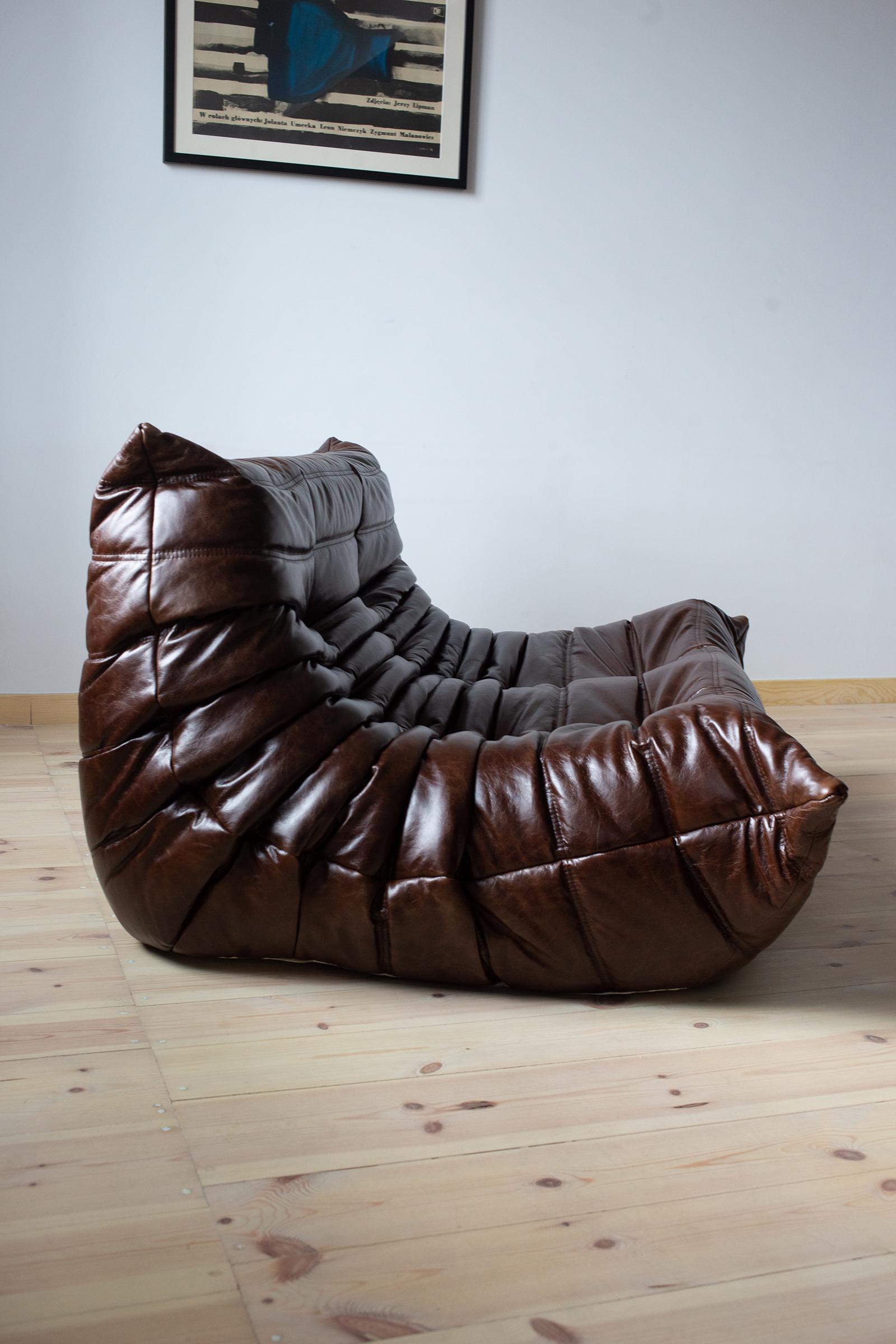 Togo 2-sitziges Sofa in Dubai Brown Leder von Michel Ducaroy für Ligne Roset im Angebot 1
