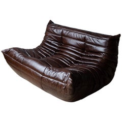 Togo 2-sitziges Sofa in Dubai Brown Leder von Michel Ducaroy für Ligne Roset
