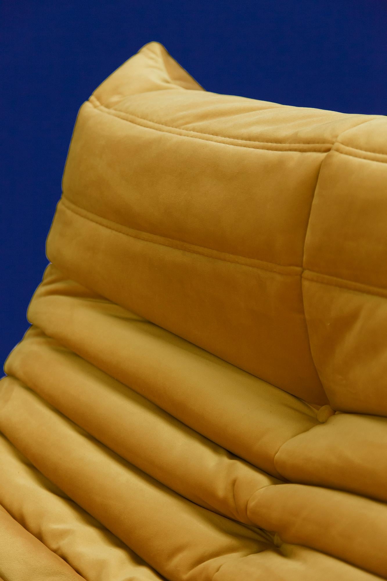 Togo 2-Seat Sofa in Golden Yellow Velvet by Michel Ducaroy for Ligne Roset For Sale 2