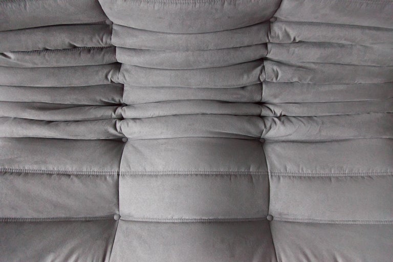 Togo 2-Seat Sofa in Grey Microfibre by Michel Ducaroy for Ligne Roset ...