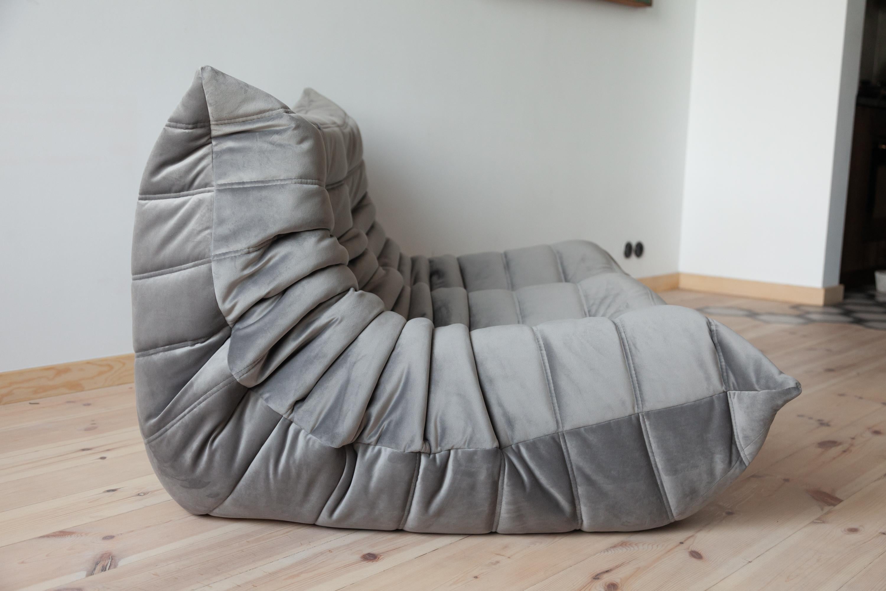 Togo 2-Seat Sofa in Grey Velvet by Michel Ducaroy for Ligne Roset For Sale 1