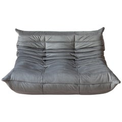 Togo 2-Seat Sofa in Grey Velvet by Michel Ducaroy for Ligne Roset