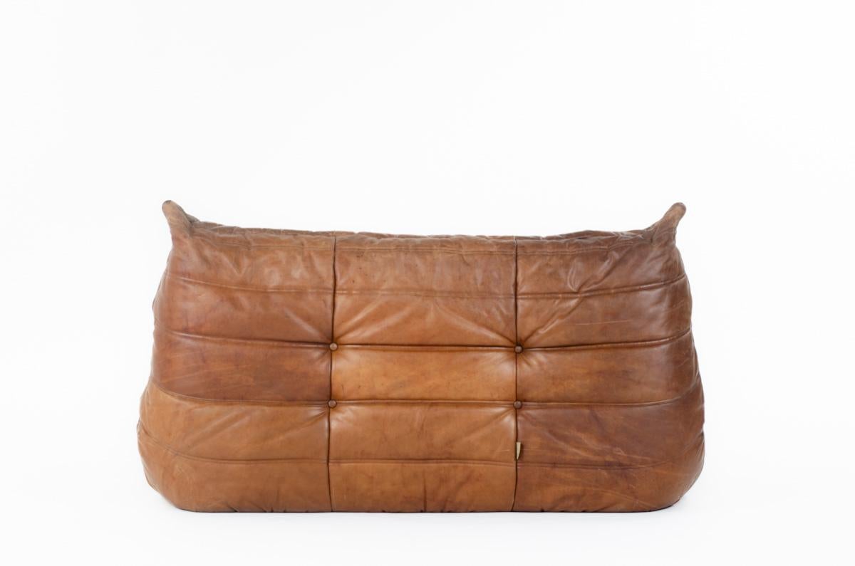 Togo 2-seat sofa in leather by Michel Ducaroy for Ligne Roset 1970 In Good Condition In JASSANS-RIOTTIER, FR