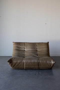 Togo 2-Seater Sofa by Michel Ducaroy for Ligne Roset