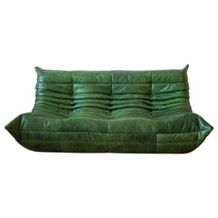 Dubai Green Leather Togo Lounge Chair by Michel Ducaroy for Ligne