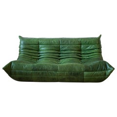 Togo 3-Seat Sofa by Michel Ducaroy for Ligne Roset, Dubai Green Leather