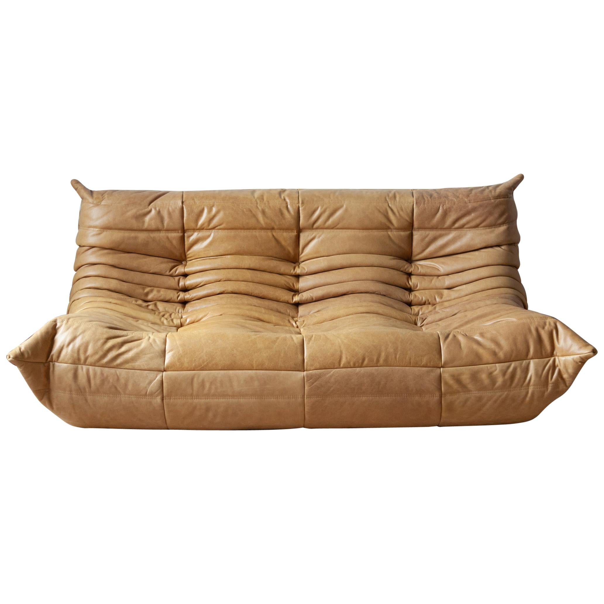 Togo 3-Seat Sofa in Camel Brown Leather by Michel Ducaroy for Ligne Roset For Sale