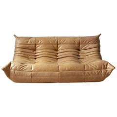 Togo 3-Seat Sofa in Camel Brown Leather by Michel Ducaroy for Ligne Roset