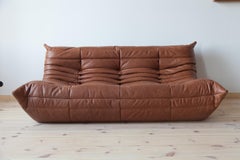 Togo 3-Seat Sofa in Kentucky Brown Leather by Michel Ducaroy for Ligne Roset