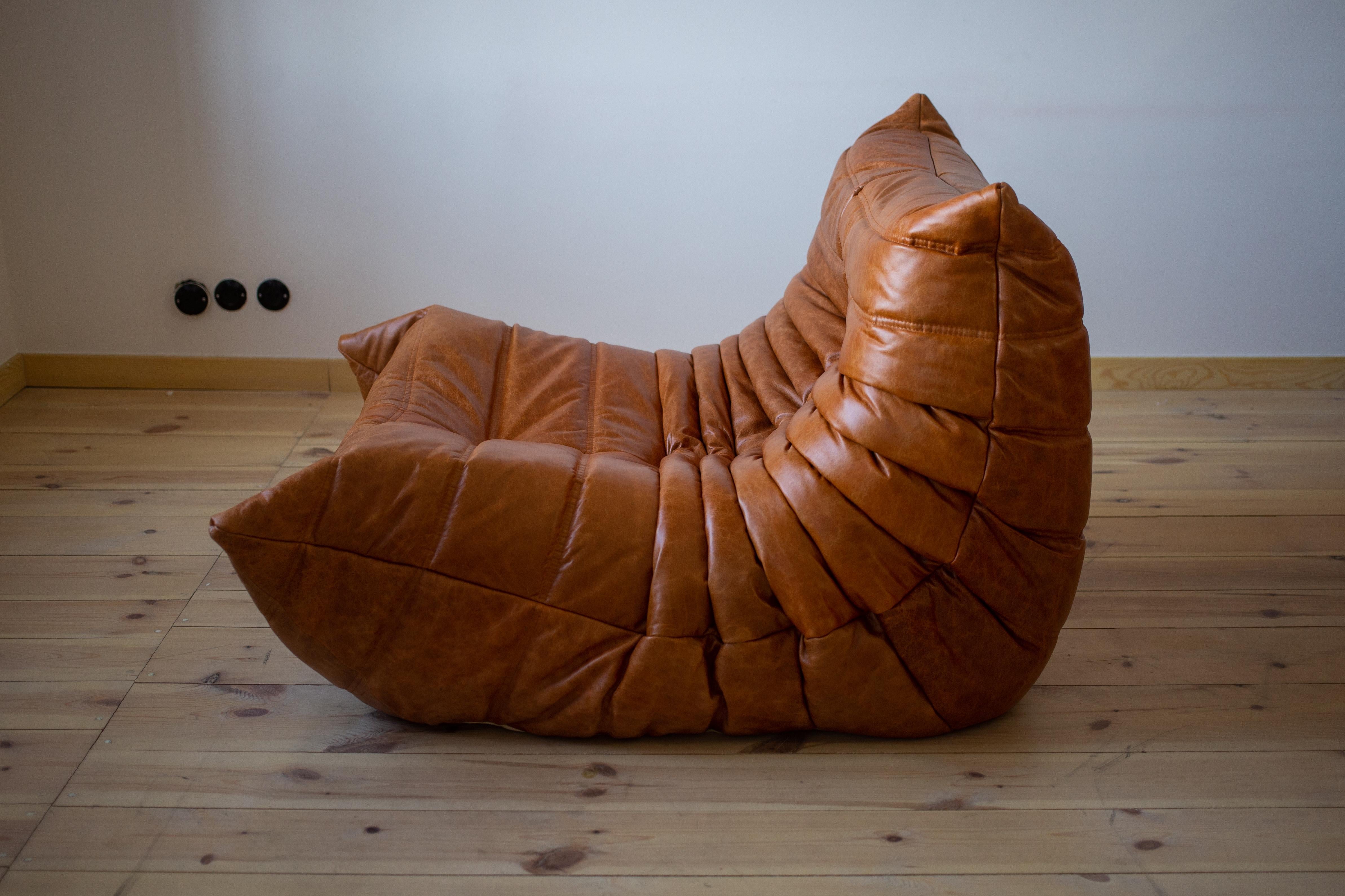 Mid-Century Modern Togo Chair by Michel Ducaroy, Ligne Roset, Dubai Pine Leather For Sale