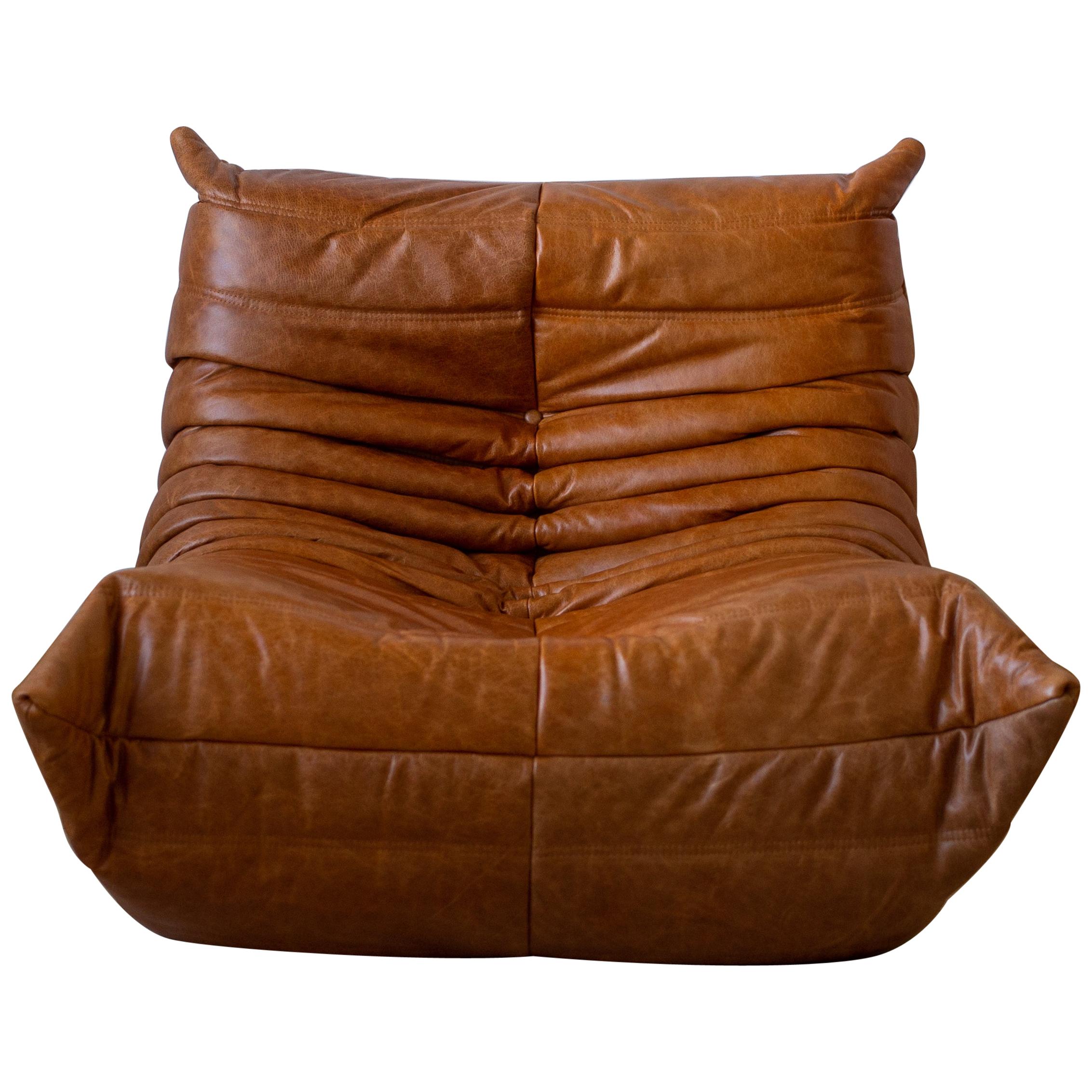 Togo Chair by Michel Ducaroy, Ligne Roset, Dubai Pine Leather For Sale