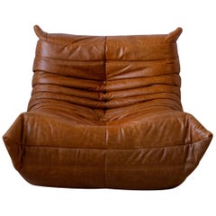 Togo Chair by Michel Ducaroy, Ligne Roset, Dubai Pine Leather