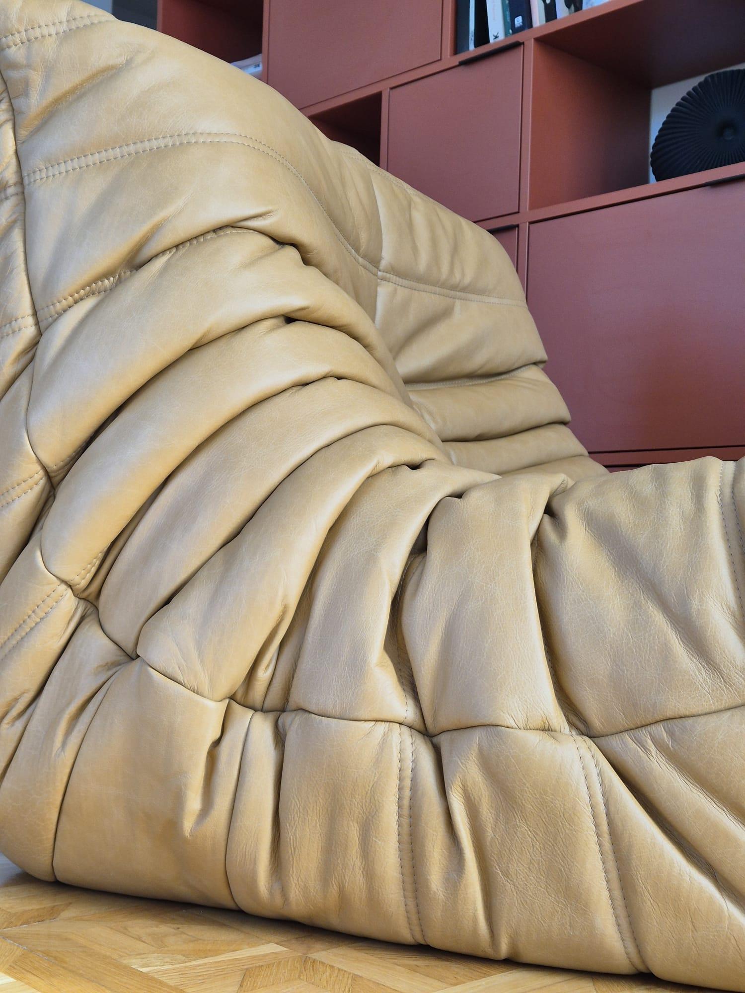 Togo Leder-Loungesessel von Michel Ducaroy für Ligne Roset im Angebot 8