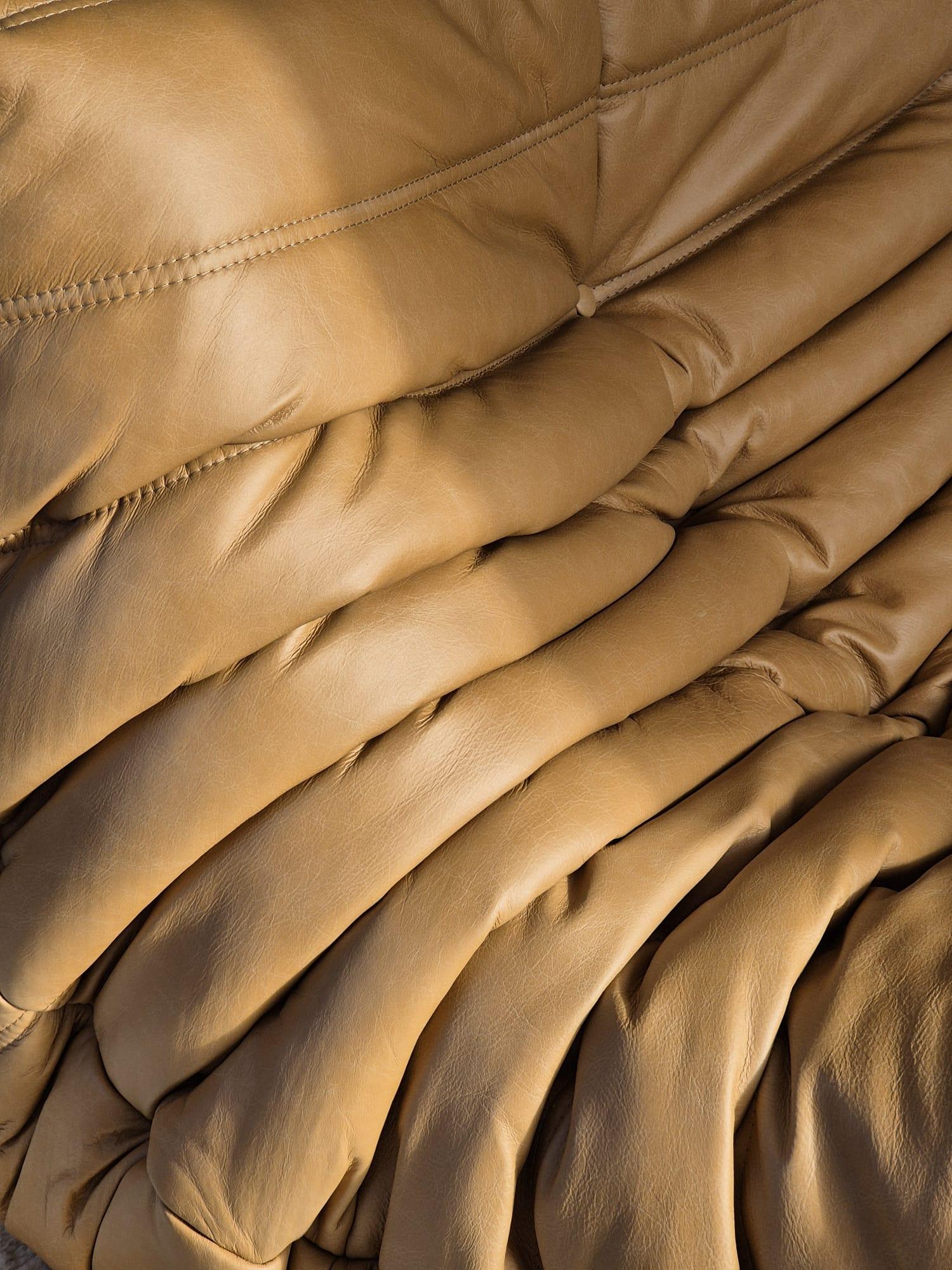 Togo Leder-Loungesessel von Michel Ducaroy für Ligne Roset im Angebot 10