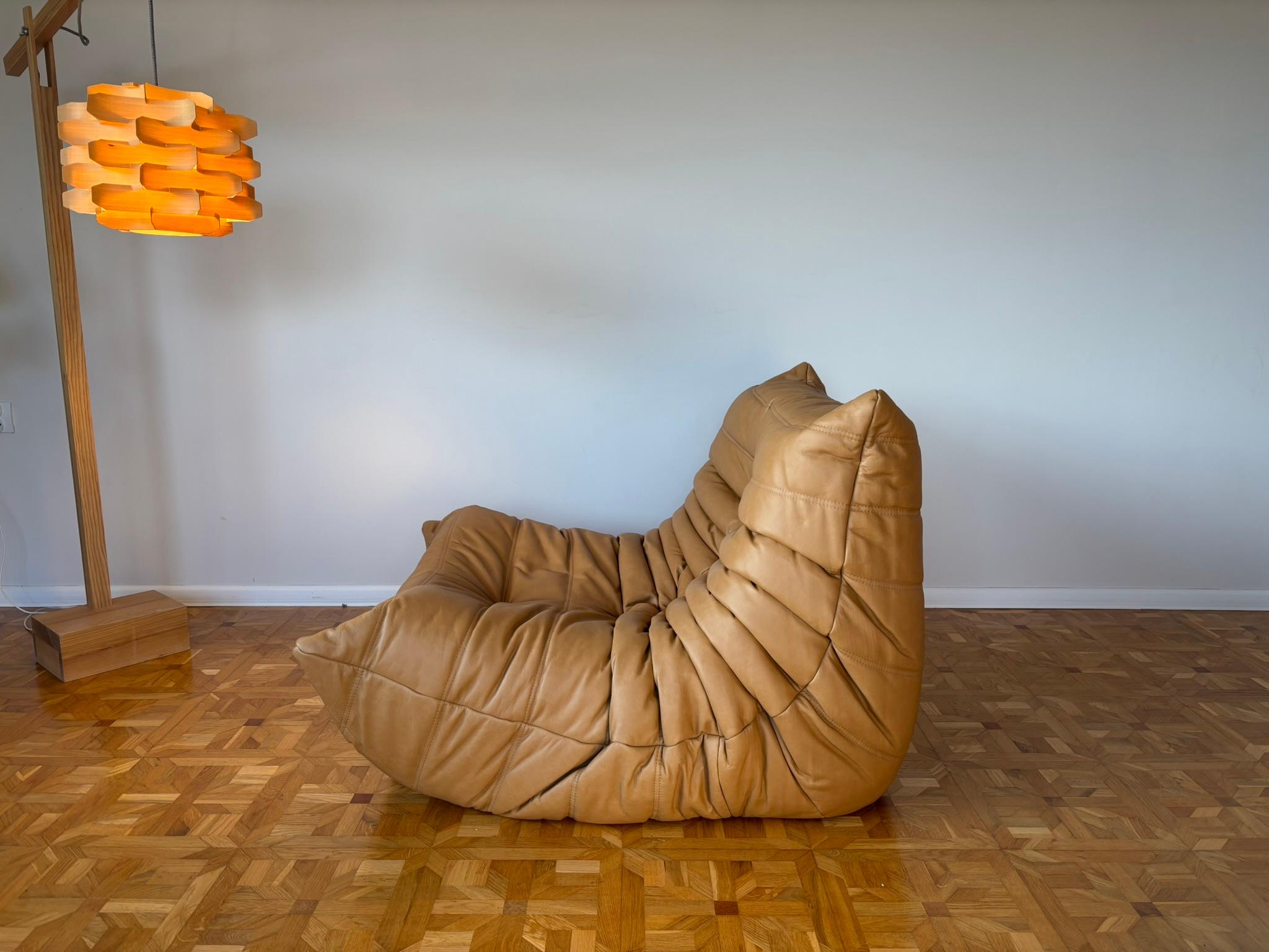 Togo Leder-Loungesessel von Michel Ducaroy für Ligne Roset (Moderne der Mitte des Jahrhunderts) im Angebot