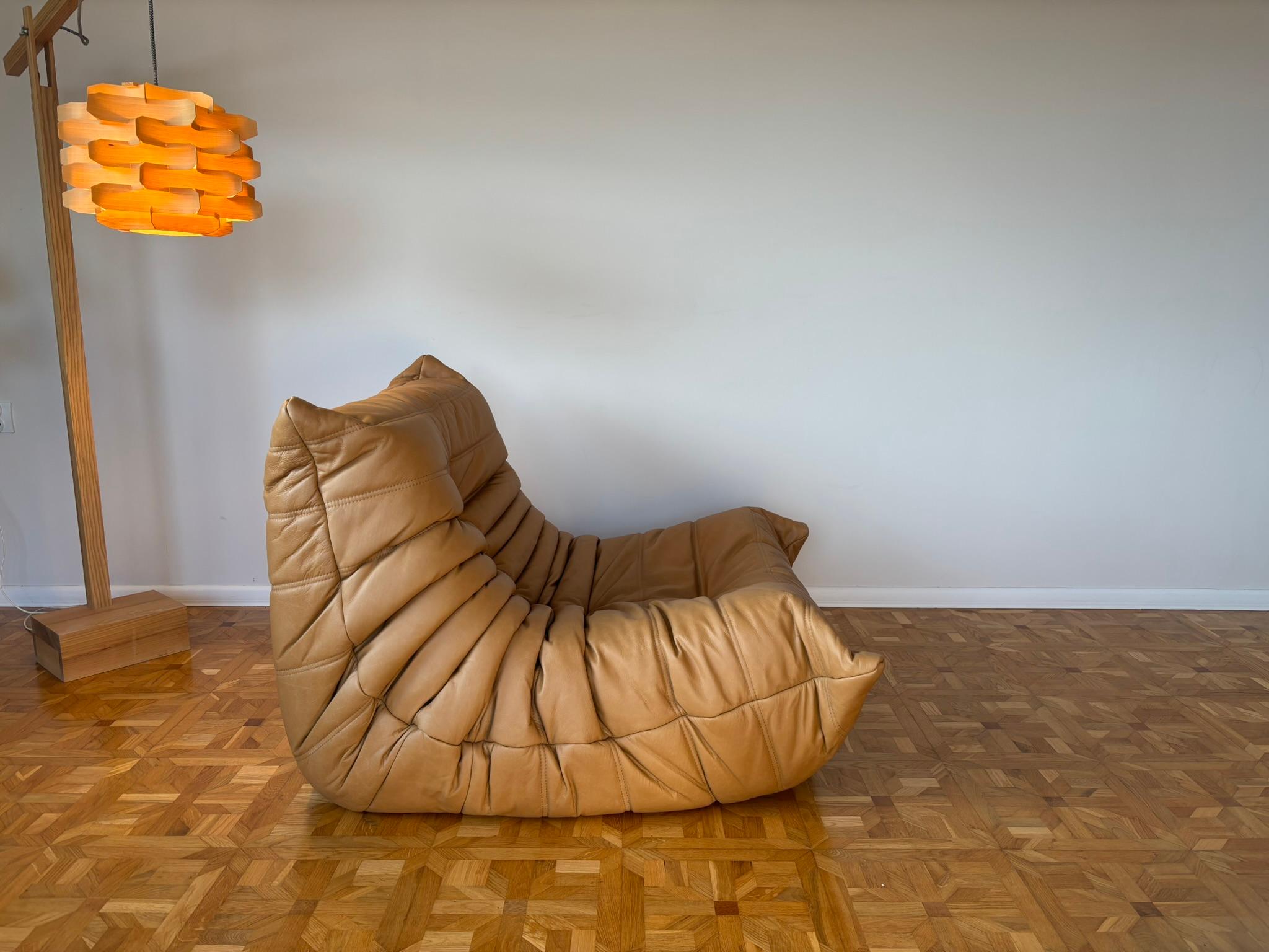 Togo Leder-Loungesessel von Michel Ducaroy für Ligne Roset im Angebot 1