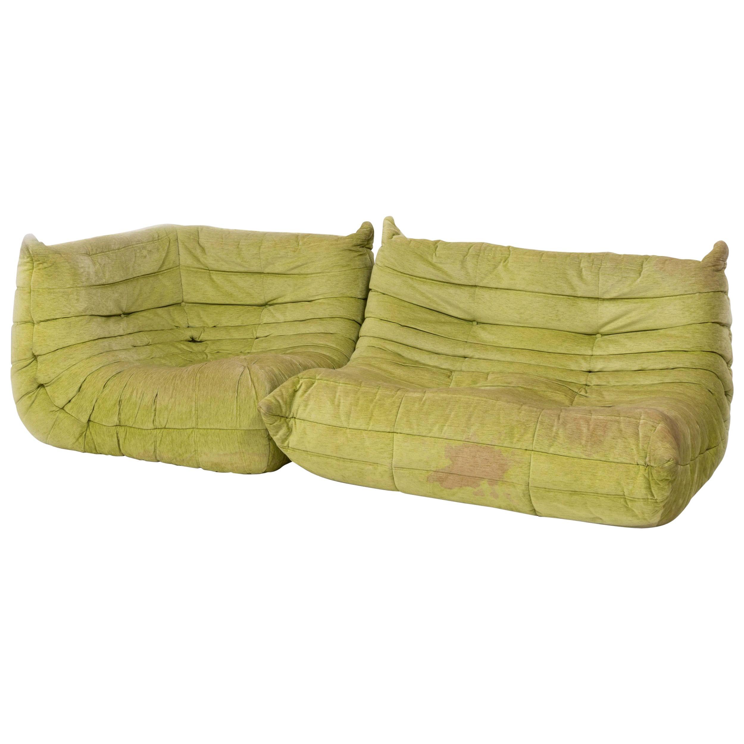 Togo Lime Green Fabric Sofa by Michel Ducaroy for Ligne Roset, Two-Piece Set