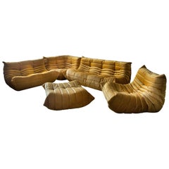 Togo Metall Gold Samt Sofa-Set von Michel Ducaroy für Ligne Roset