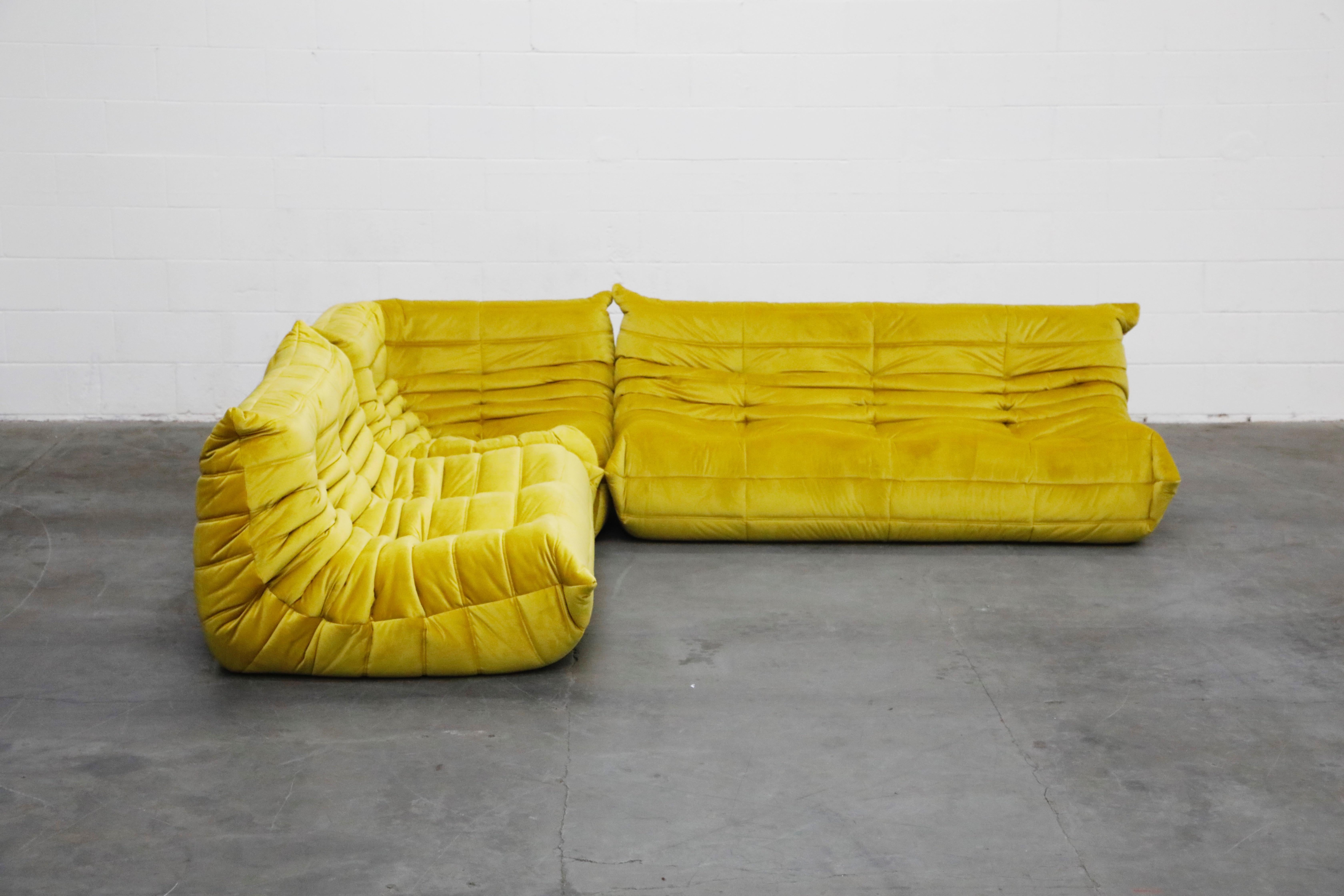 This incredible three (3) piece Togo sectional living room set, was designed by Michel Ducaroy in 1973 for Ligne Roset, France. This set was completely restored with new high grade velvet upholstery in a mesmerizing golden chartreuse color, and