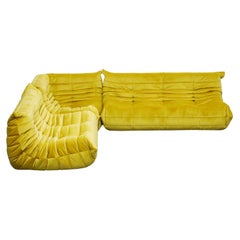 Togo Sectional Three-Piece Set by Michel Ducaroy for Ligne Roset in Gold Velvet