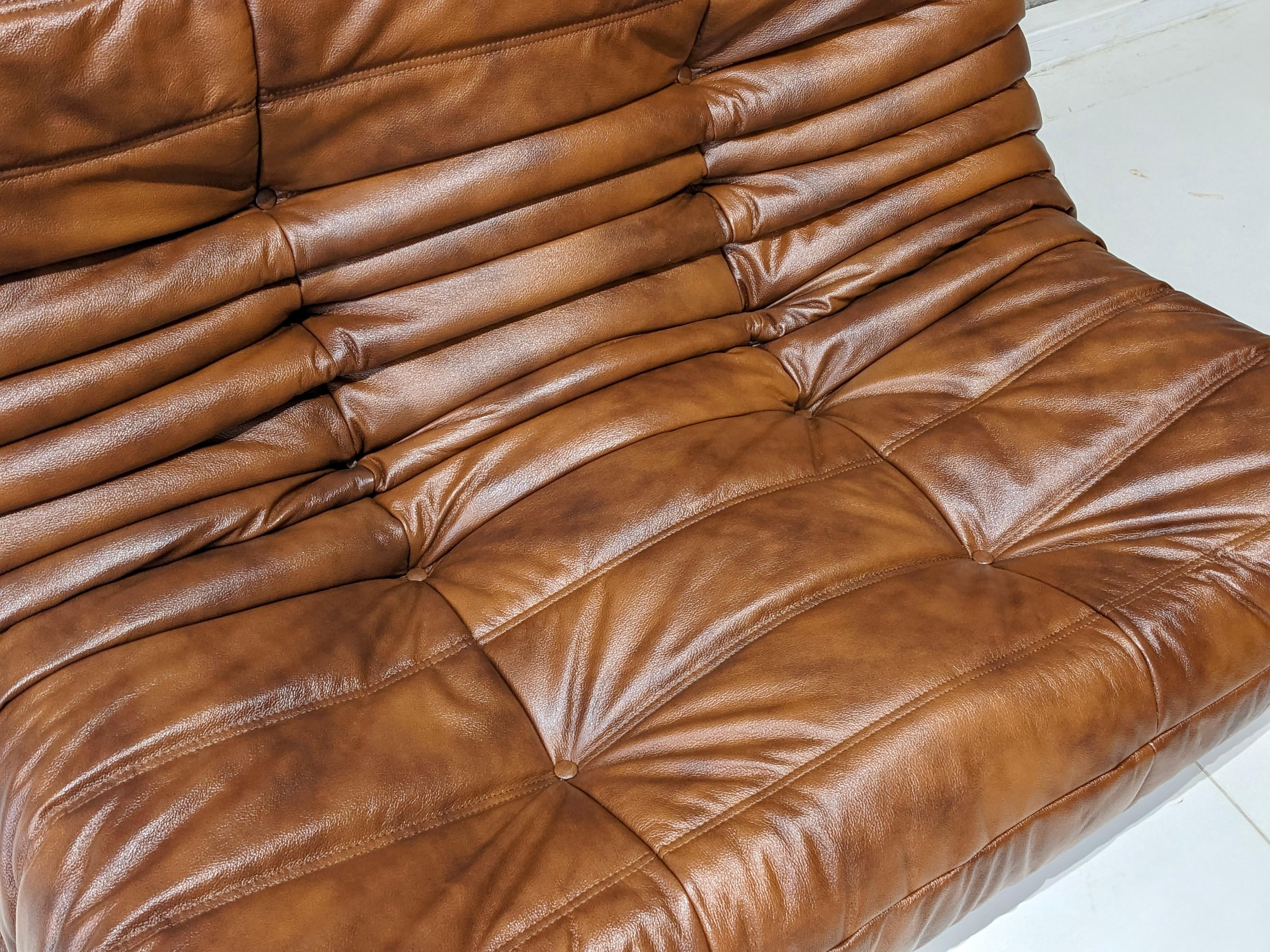 Togo Set in Brown Leather by Michel Ducaroy for Ligne Roset For Sale 2