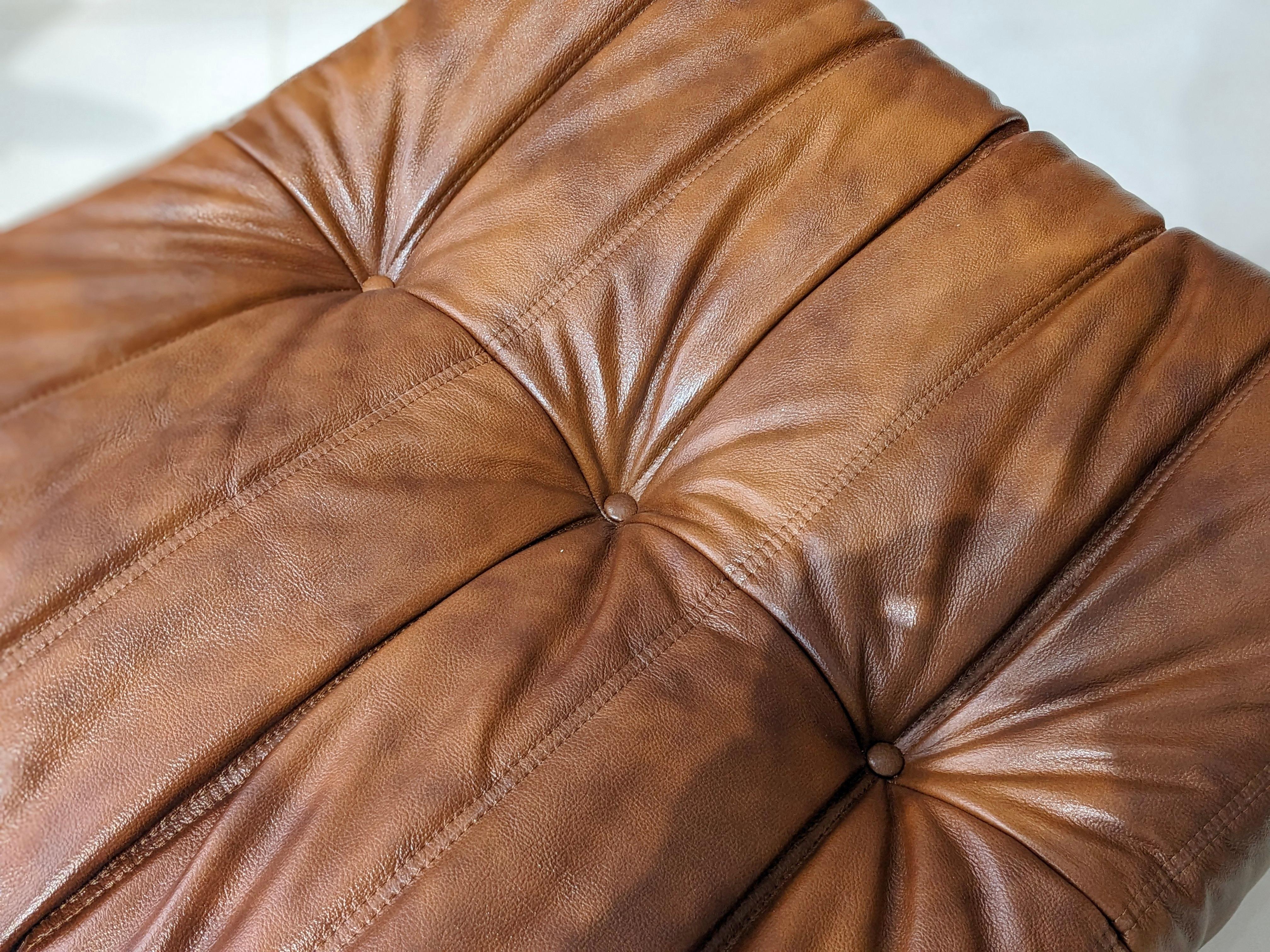 Togo Set in Brown Leather by Michel Ducaroy for Ligne Roset For Sale 3