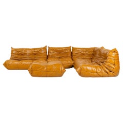 Togo Set in Brown Leather by Michel Ducaroy for Ligne Roset, France, 1970s