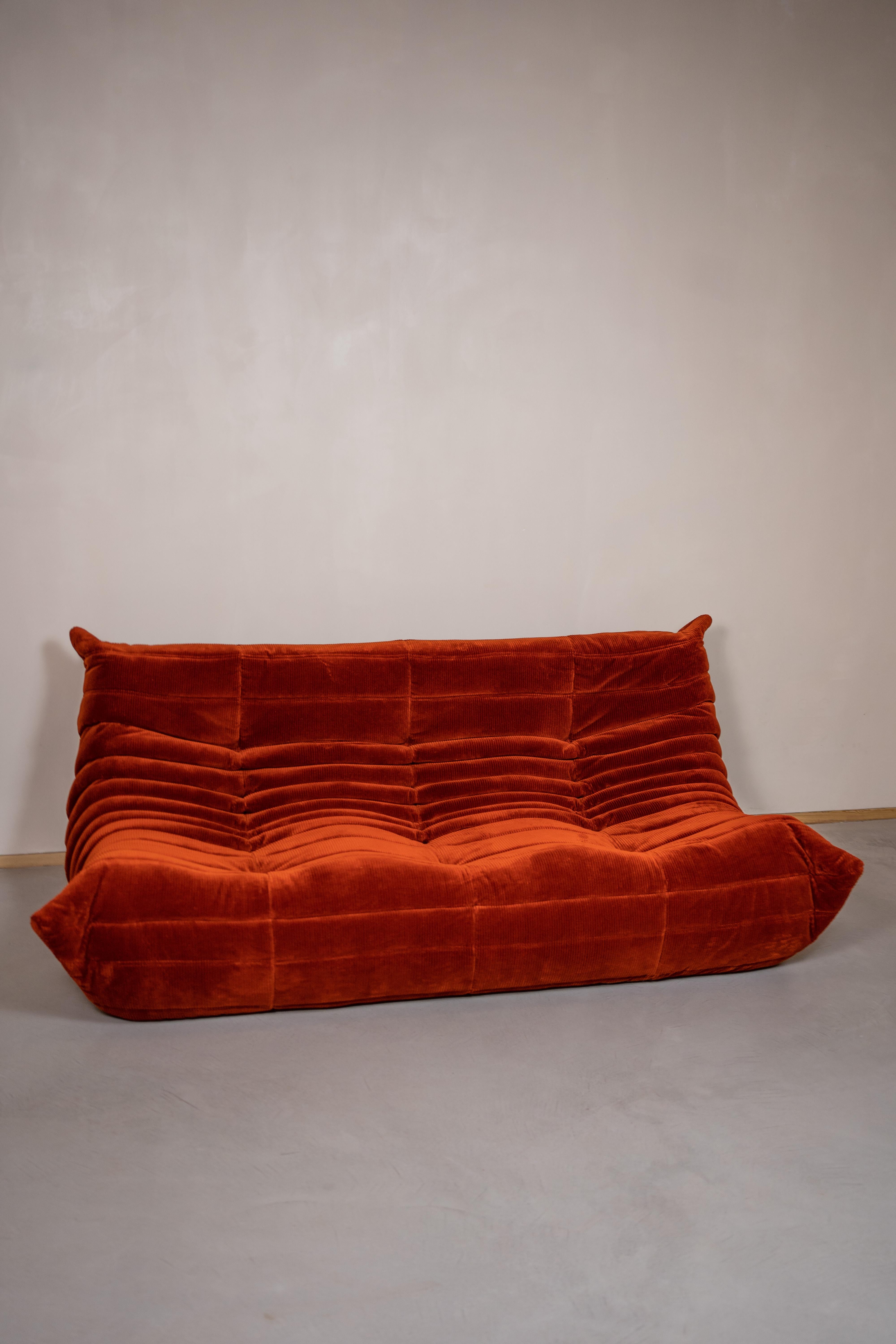 michel ducaroy sofa