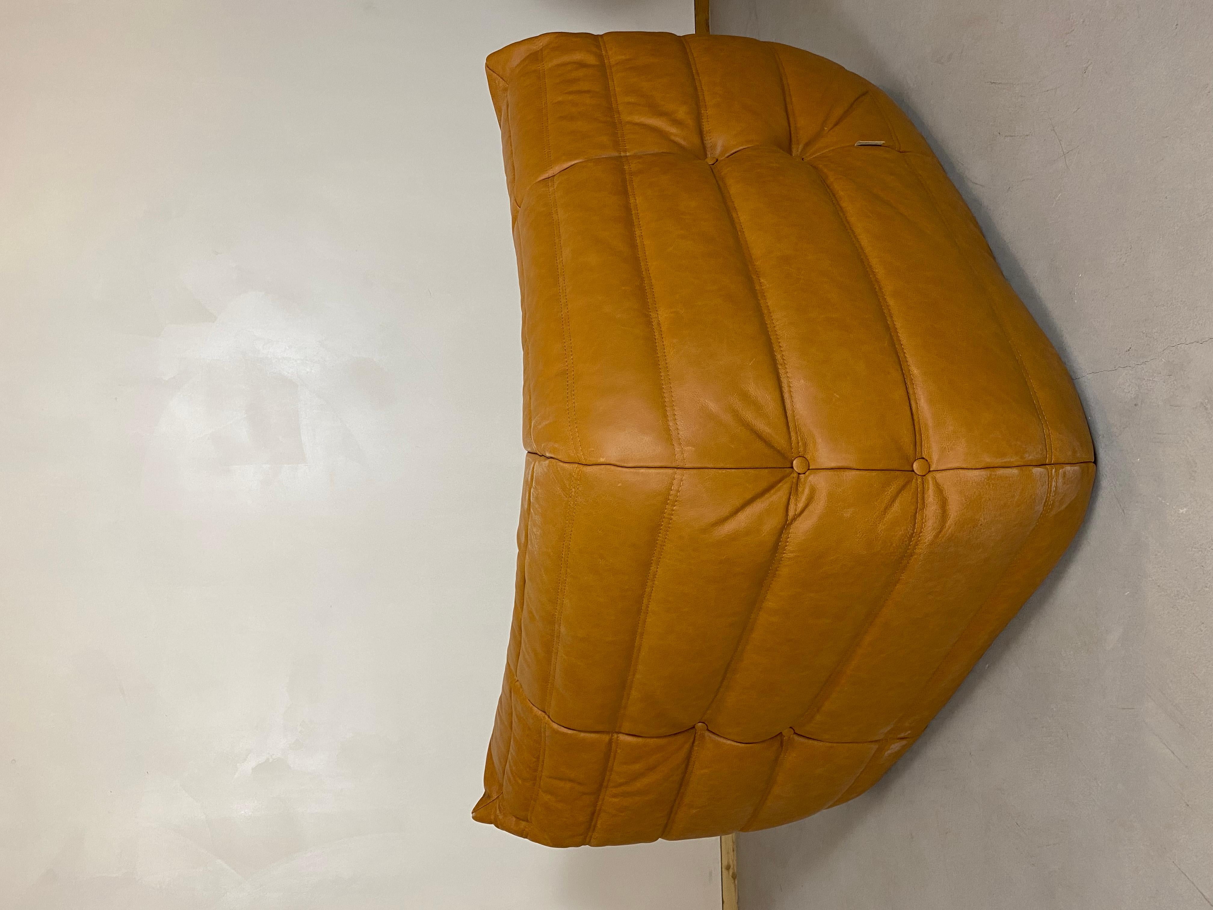 Togo-Sofa von Michel Ducaroy für Ligne Roset (Leder) im Angebot