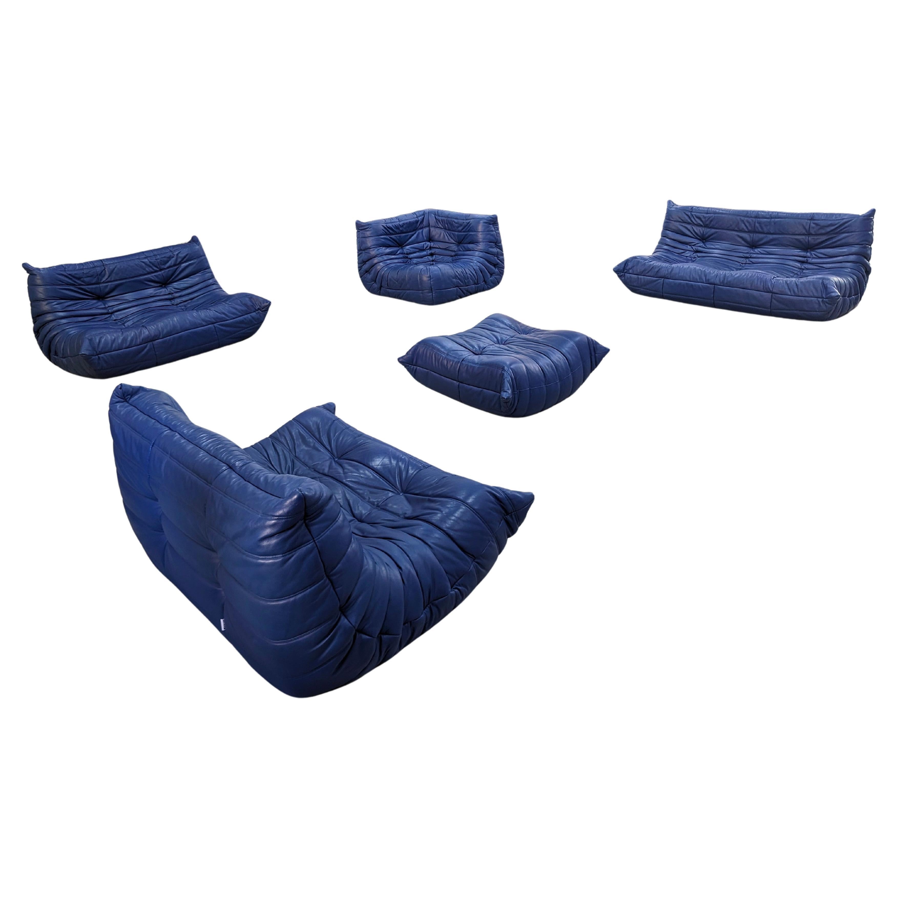 Togo Sofa by Michel Ducaroy for Ligne Roset in Blue Leather, France, Set of 5