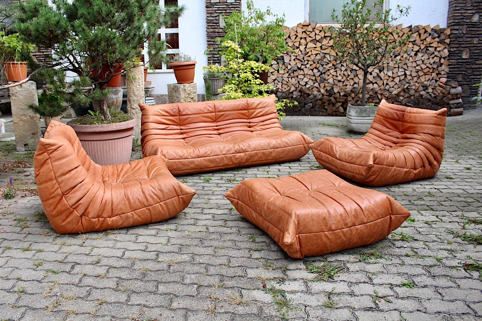 Space Age Togo Vintage Brown Leather Four Sectional Settee Michel Ducaroy Ligne Roset 1973