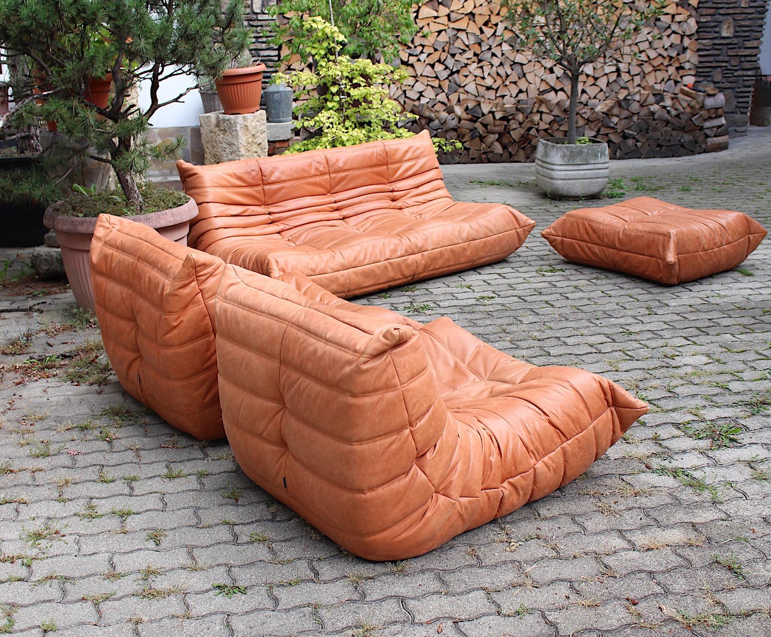 Togo Vintage Brown Leather Four Sectional Settee Michel Ducaroy Ligne Roset 1973 In Good Condition In Vienna, AT