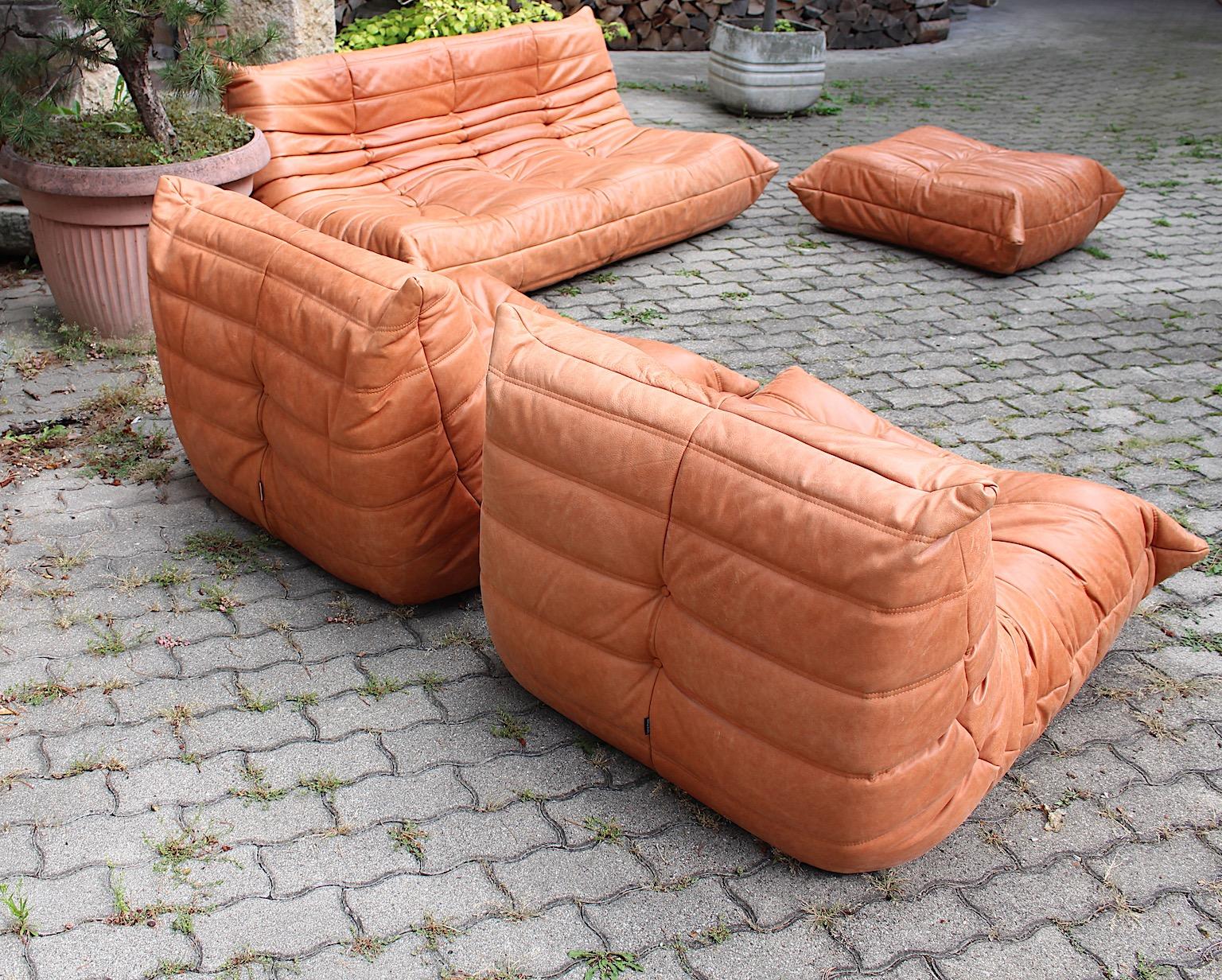 Late 20th Century Togo Vintage Brown Leather Four Sectional Settee Michel Ducaroy Ligne Roset 1973