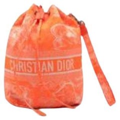 Toile de Jouy Fluo DiorTravel Pouch