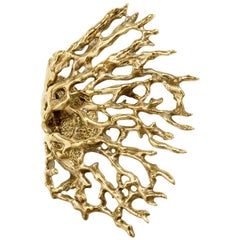 Toile OC2020 Cabinet and Door Hardware Cabinet Handle and Door Pull