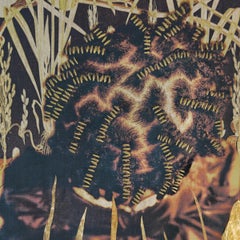 "Oryza Sativa, Flax Variegated" - portrait, Black Ancestry, embroidery