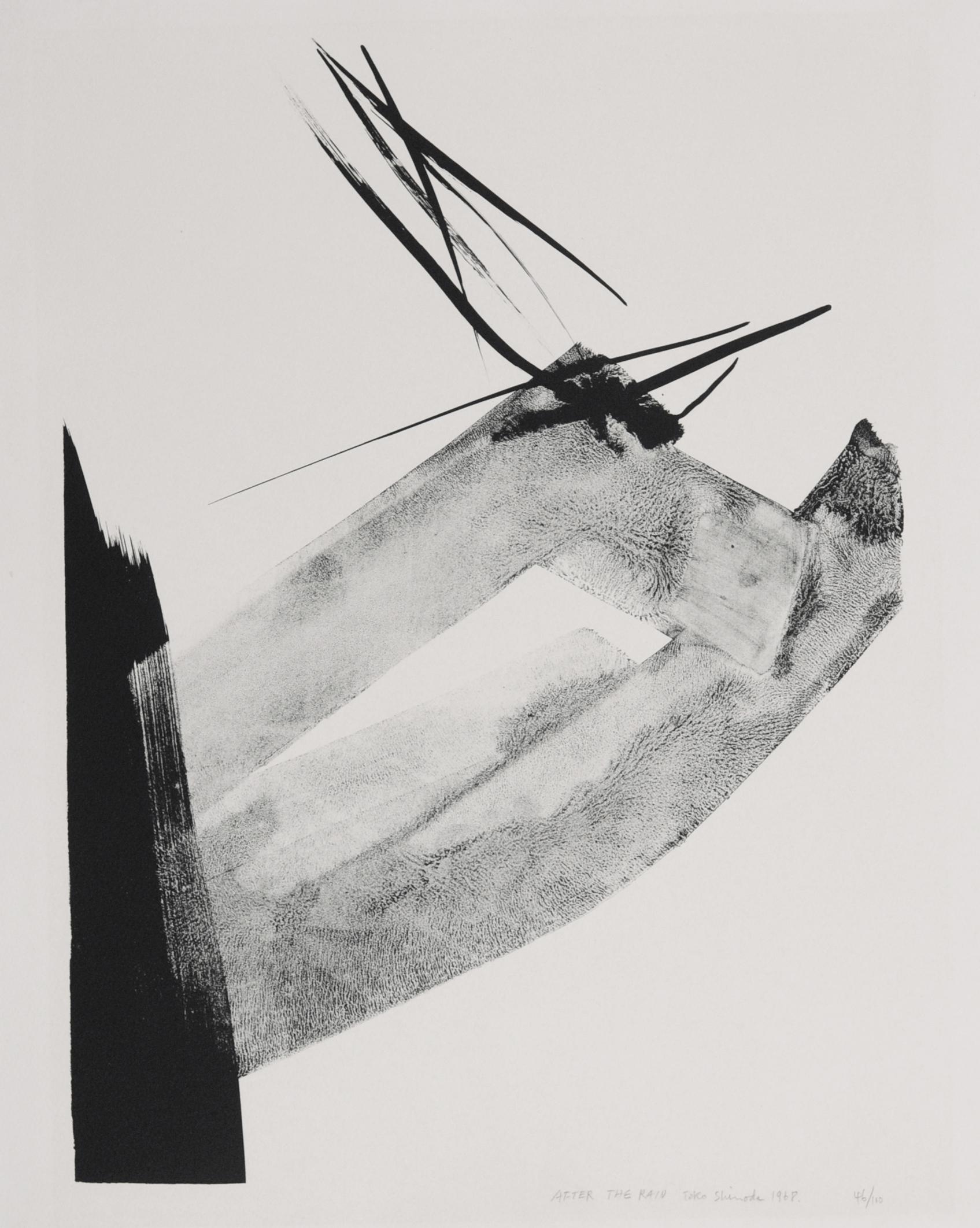 Toko Shinoda Abstract Print - After the Rain