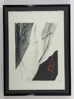 Rippling, limited edition lithograph, Japanese, black, white, red, signed, number